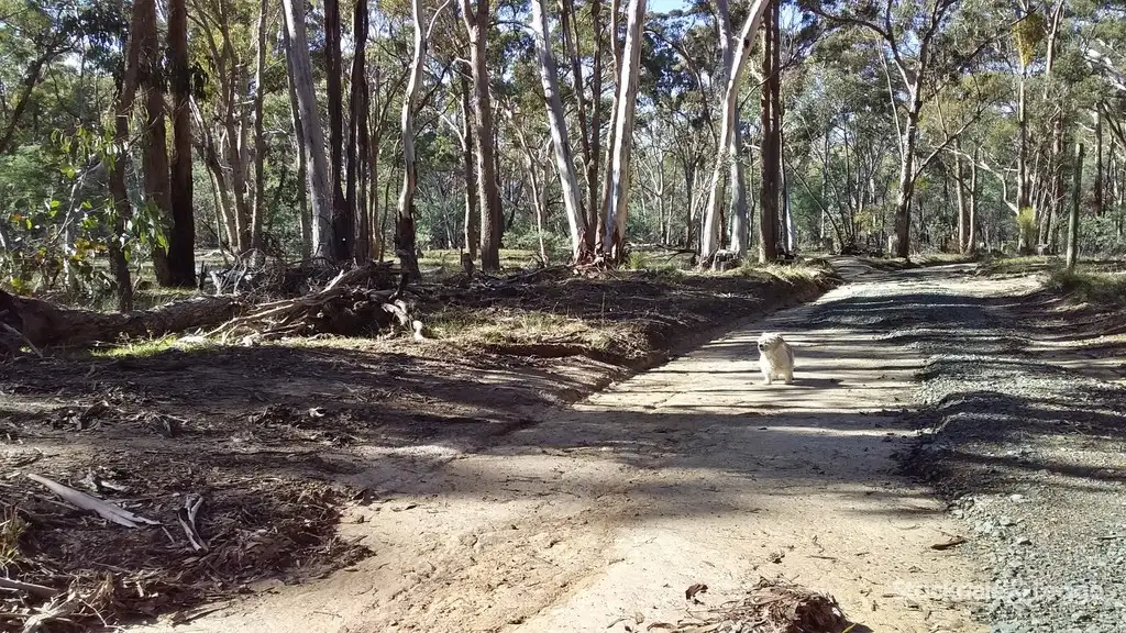 Main view of Homely land listing, Lot 4, 100 Old Werona Road, Kooroocheang VIC 3364