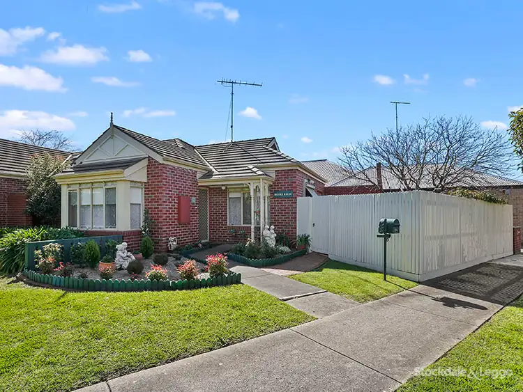 10 Hawthorn Avenue, Belmont VIC 3216