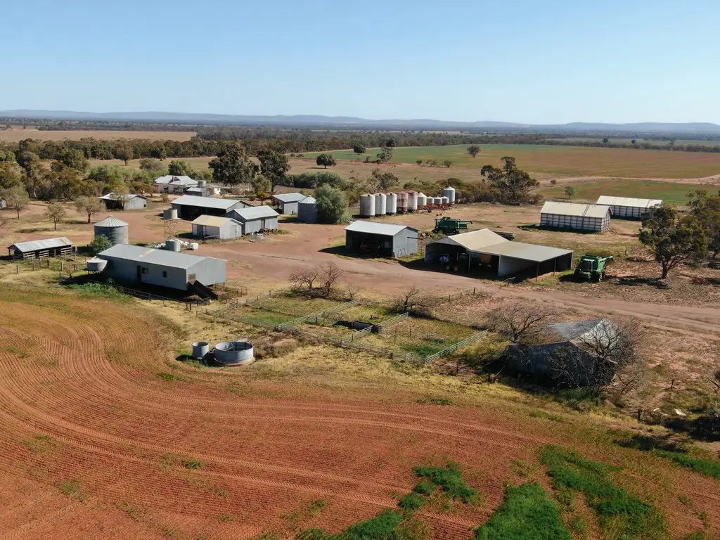 Main view of Homely rural property listing, - Mid Western Highway, Weethalle NSW 2669