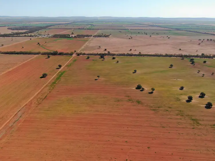 Second view of Homely rural property listing, - Mid Western Highway, Weethalle NSW 2669