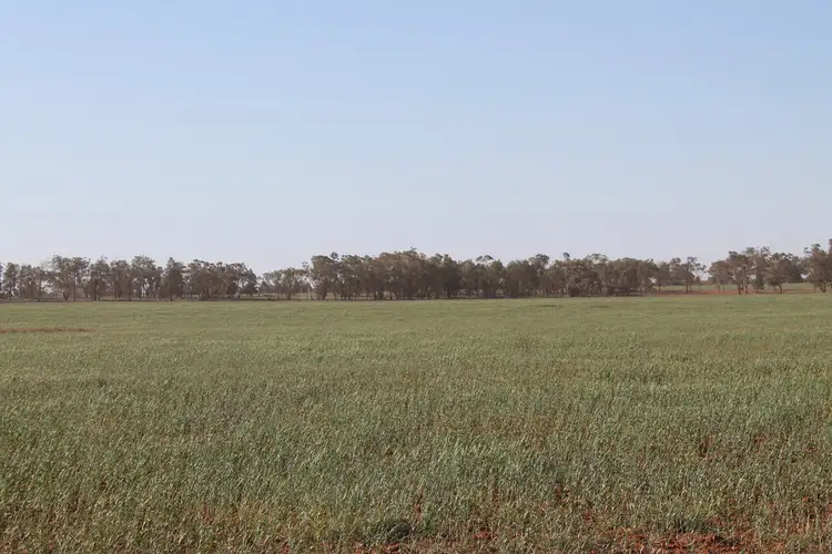 Third view of Homely rural property listing, - Mid Western Highway, Weethalle NSW 2669