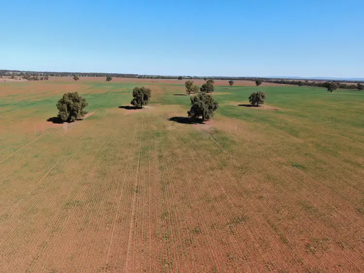 Fourth view of Homely rural property listing, - Mid Western Highway, Weethalle NSW 2669