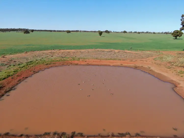 Seventh view of Homely rural property listing, - Mid Western Highway, Weethalle NSW 2669
