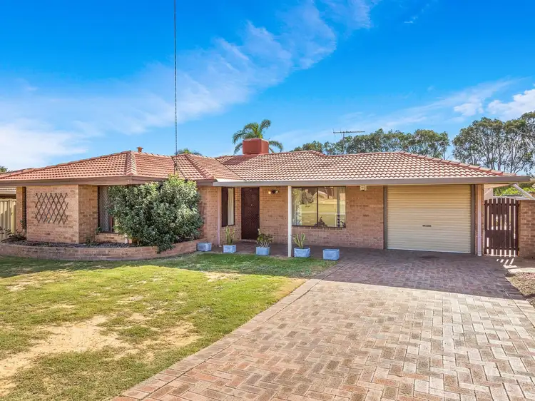 Main view of Homely house listing, 13 Carnation Place, Yangebup WA 6164