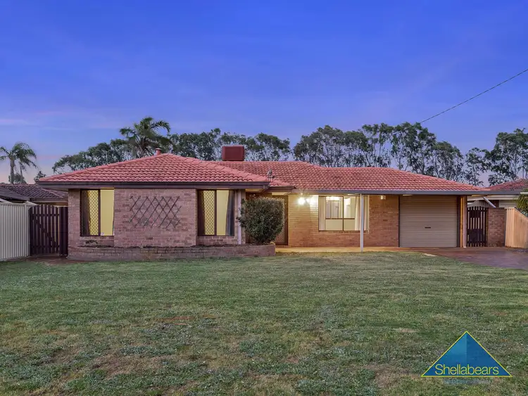 Fifth view of Homely house listing, 13 Carnation Place, Yangebup WA 6164