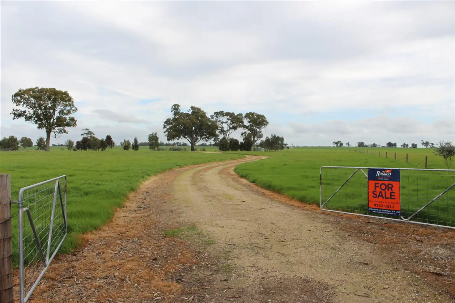 Main view of Homely rural property listing, Lot 12 Noske Road, Mundulla SA 5270