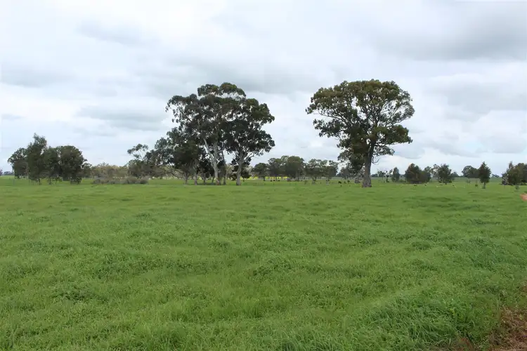 Fourth view of Homely rural property listing, Lot 12 Noske Road, Mundulla SA 5270