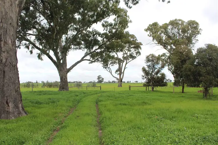 Fifth view of Homely rural property listing, Lot 12 Noske Road, Mundulla SA 5270