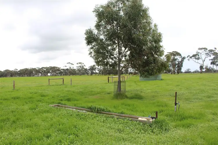 Sixth view of Homely rural property listing, Lot 12 Noske Road, Mundulla SA 5270