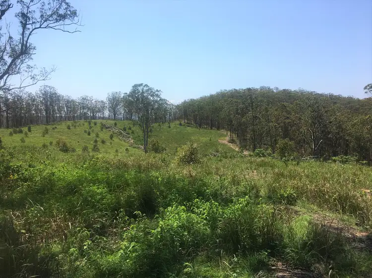 Main view of Homely rural property listing, 702 Comboyne Road, Bagnoo NSW 2446