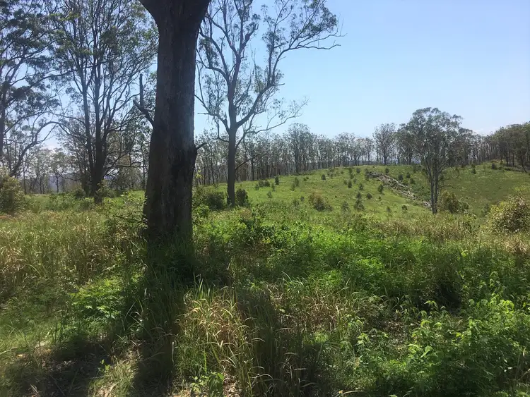 Second view of Homely rural property listing, 702 Comboyne Road, Bagnoo NSW 2446