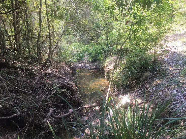 Fourth view of Homely rural property listing, 702 Comboyne Road, Bagnoo NSW 2446