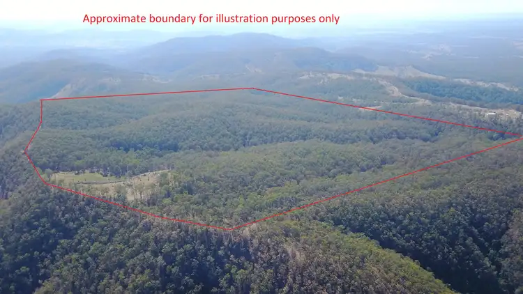 Fifth view of Homely rural property listing, 702 Comboyne Road, Bagnoo NSW 2446