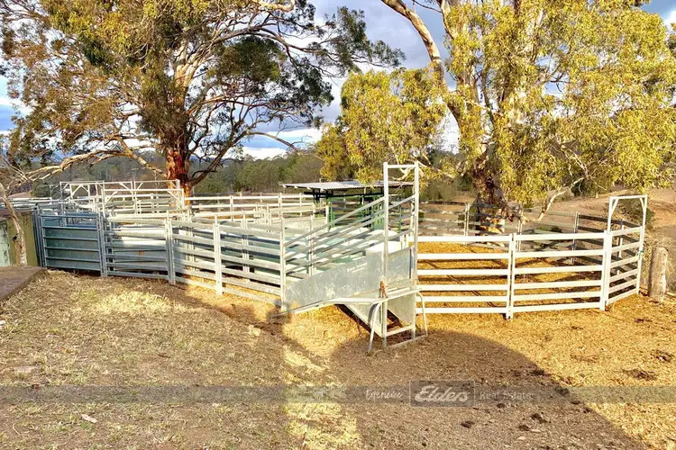 Fourth view of Homely rural property listing, 2285 The Bucketts Way, Gloucester NSW 2422