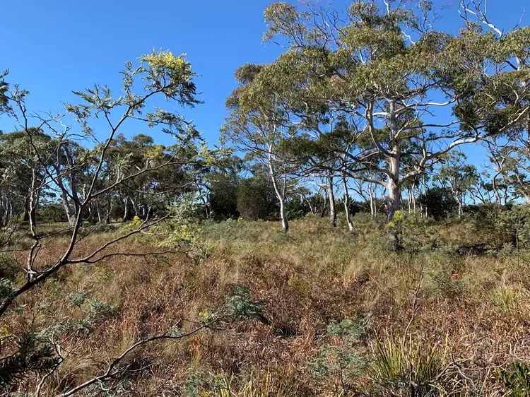 Fifth view of Homely land listing, 105 Cambria Drive, Dolphin Sands TAS 7190