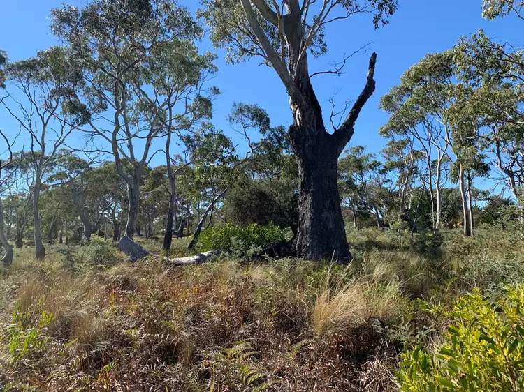 Sixth view of Homely land listing, 105 Cambria Drive, Dolphin Sands TAS 7190