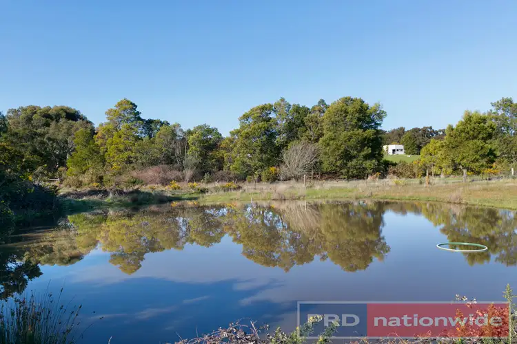 Fifth view of Homely land listing, 80 O'Loughlins Road, Durham Lead VIC 3352
