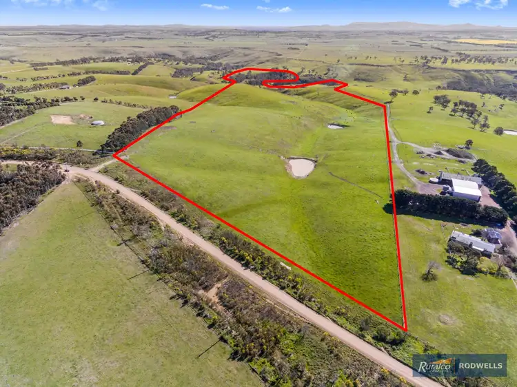 Second view of Homely rural property listing, 419 Old Sydney Road, Mickleham VIC 3064