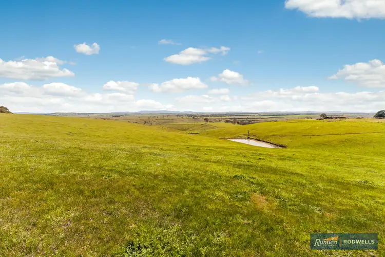 Fourth view of Homely rural property listing, 419 Old Sydney Road, Mickleham VIC 3064