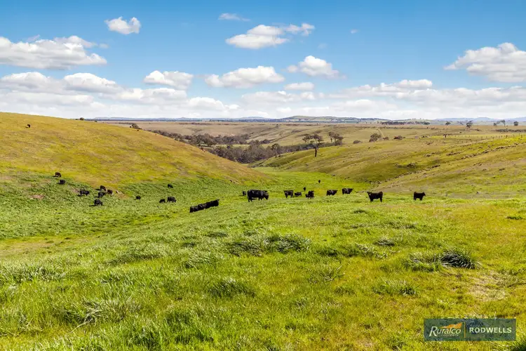Fifth view of Homely rural property listing, 419 Old Sydney Road, Mickleham VIC 3064