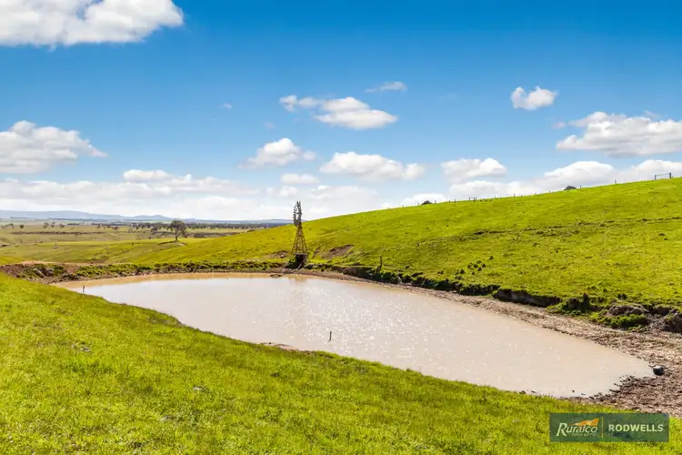 Sixth view of Homely rural property listing, 419 Old Sydney Road, Mickleham VIC 3064