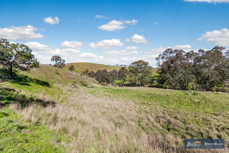 Seventh view of Homely rural property listing, 419 Old Sydney Road, Mickleham VIC 3064