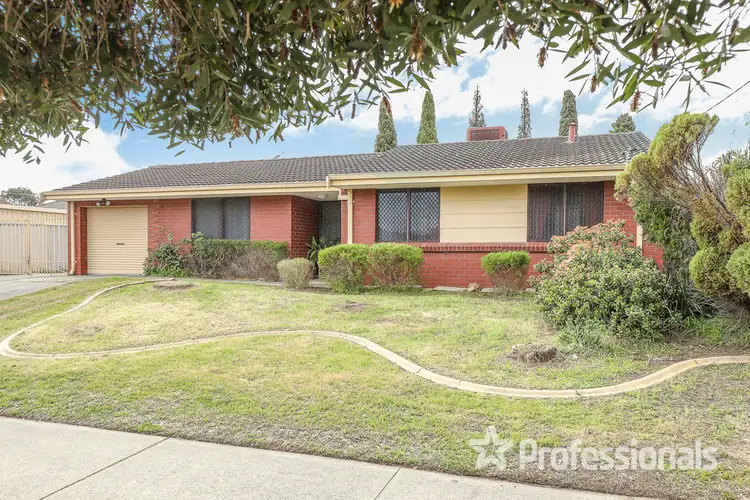 Third view of Homely semi-detached listing, 33 Balga Avenue, Balga WA 6061