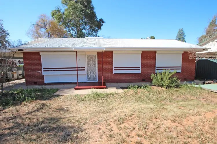 16 Kurrajong Avenue, Renmark SA 5341