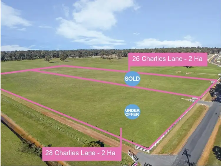 28 Charlies Lane, Carrick TAS 7291