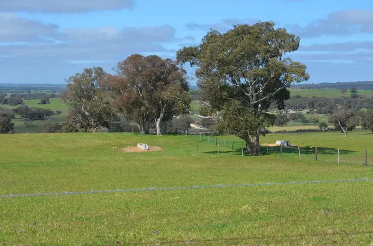 Lot 10 Padthaway Road, Padthaway SA 5271