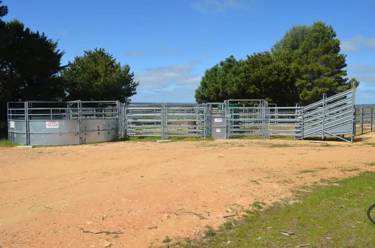 Second view of Homely rural property listing, Lot 10 Padthaway Road, Padthaway SA 5271