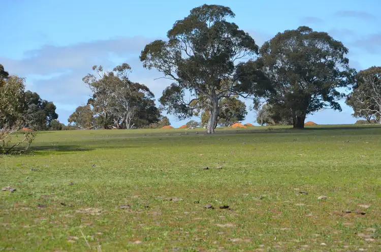 Fourth view of Homely rural property listing, Lot 10 Padthaway Road, Padthaway SA 5271
