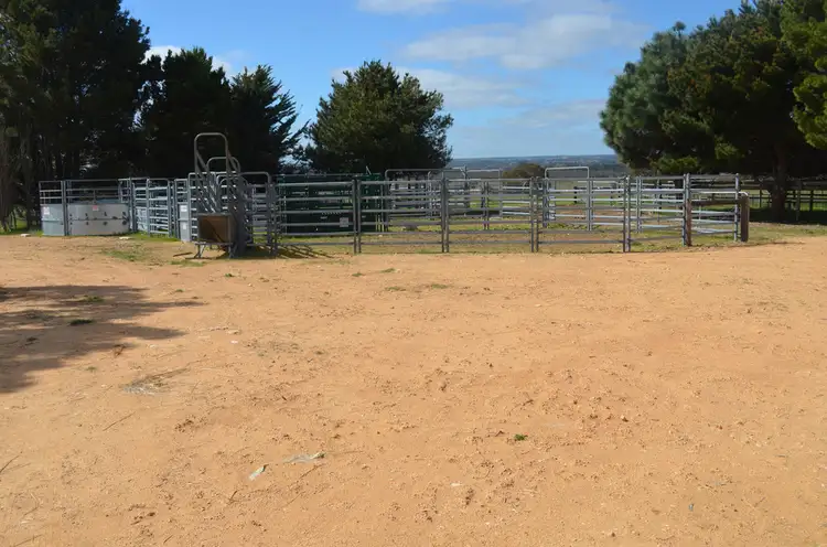 Seventh view of Homely rural property listing, Lot 10 Padthaway Road, Padthaway SA 5271
