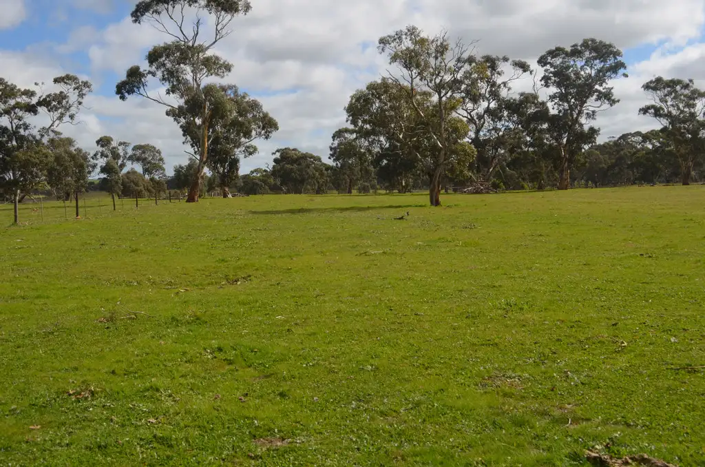 Main view of Homely rural property listing, 1451 Broadview Road, Padthaway SA 5271