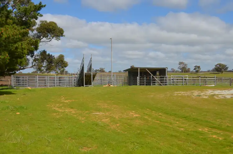 Second view of Homely rural property listing, 1451 Broadview Road, Padthaway SA 5271