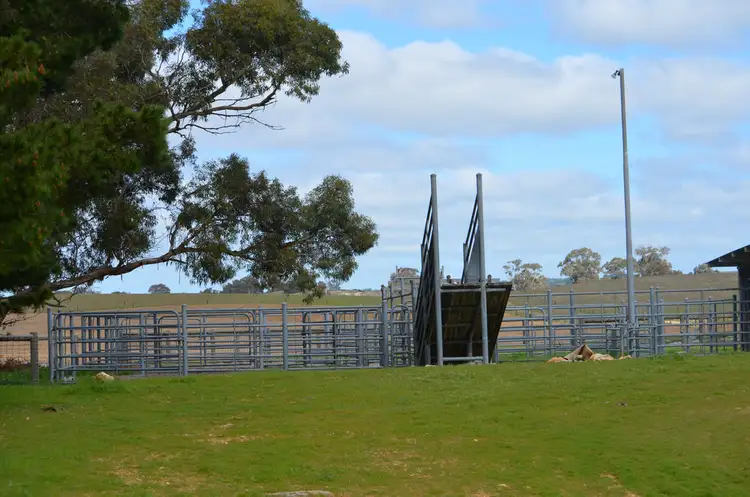 Third view of Homely rural property listing, 1451 Broadview Road, Padthaway SA 5271