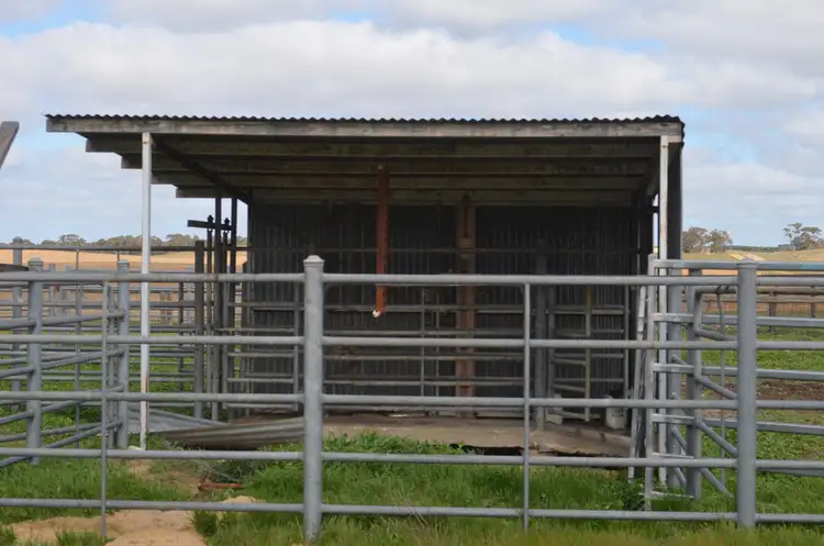 Fourth view of Homely rural property listing, 1451 Broadview Road, Padthaway SA 5271