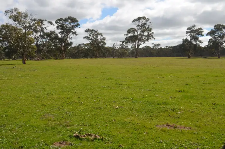 Seventh view of Homely rural property listing, 1451 Broadview Road, Padthaway SA 5271