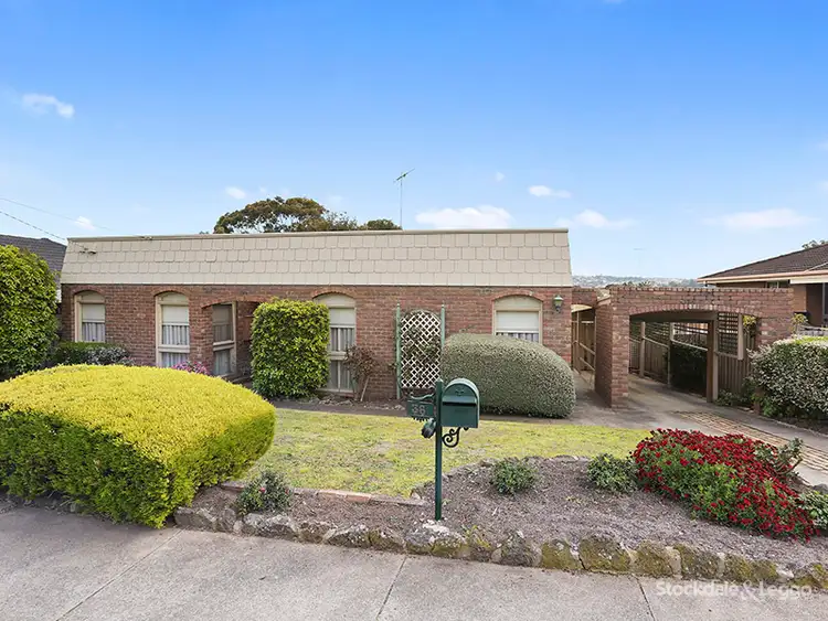 36 Iona Avenue, Belmont VIC 3216