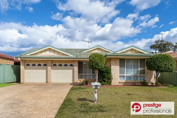 20 Concettina Drive, Prestons NSW 2170