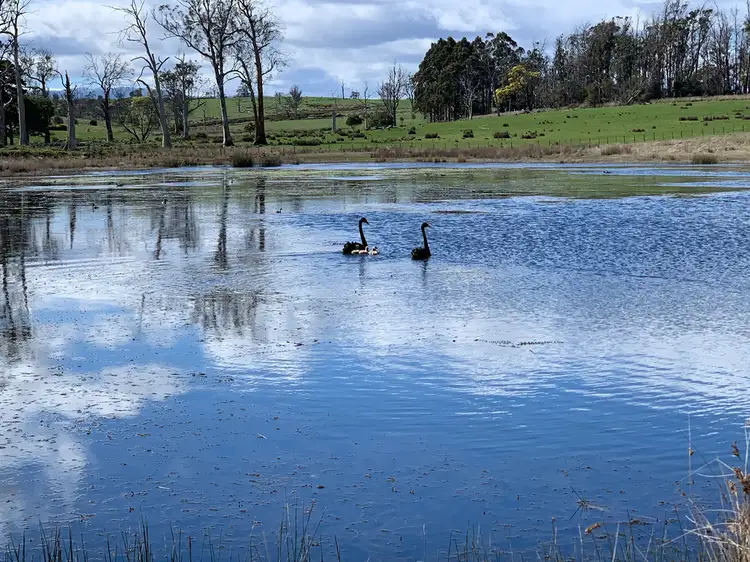 Sixth view of Homely land listing, 372 Norwich Drive, Longford TAS 7301
