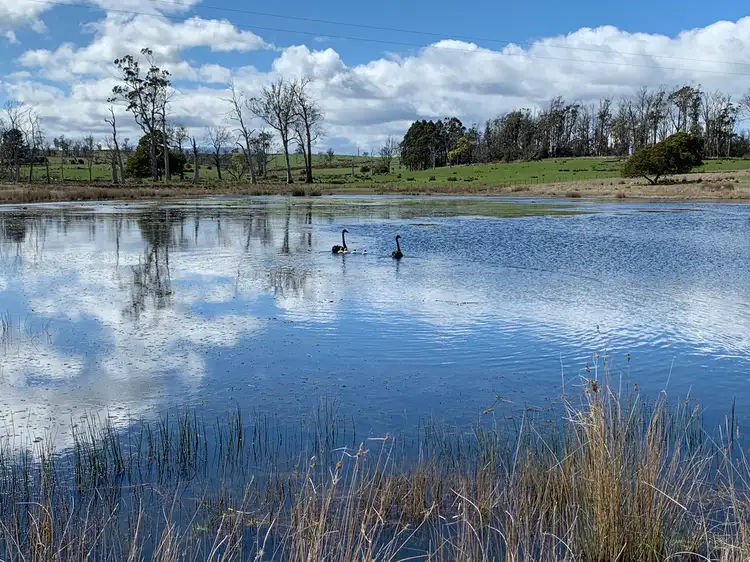 Seventh view of Homely land listing, 372 Norwich Drive, Longford TAS 7301