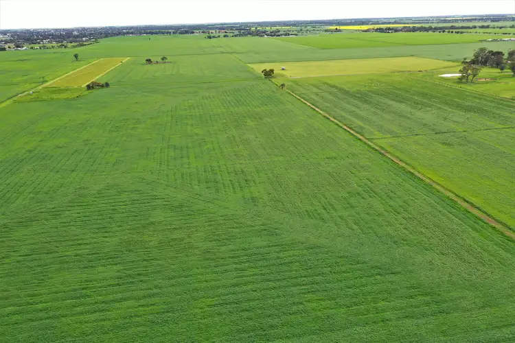 Main view of Homely rural property listing, 289 Mackies Road, Haven VIC 3401