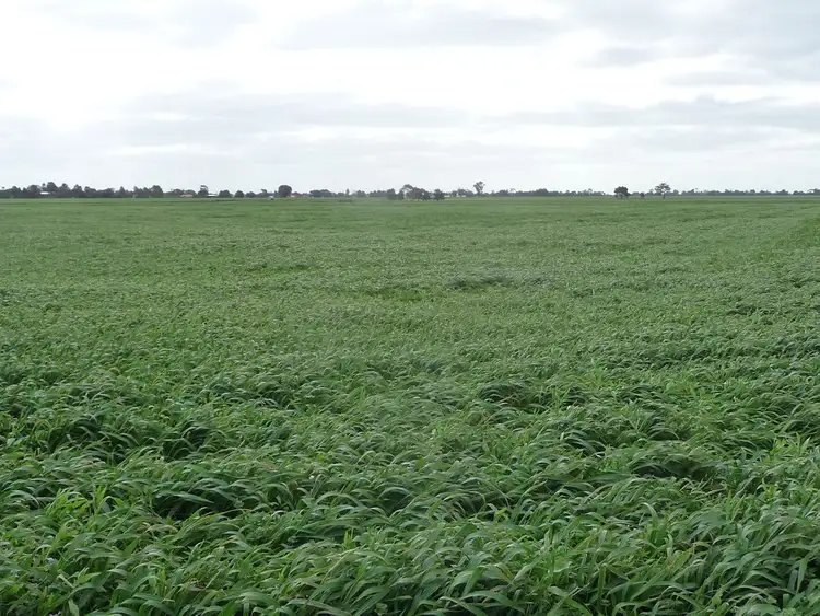 Third view of Homely rural property listing, 289 Mackies Road, Haven VIC 3401