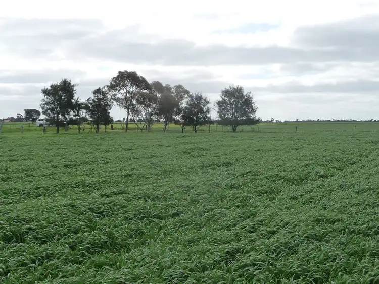 Sixth view of Homely rural property listing, 289 Mackies Road, Haven VIC 3401