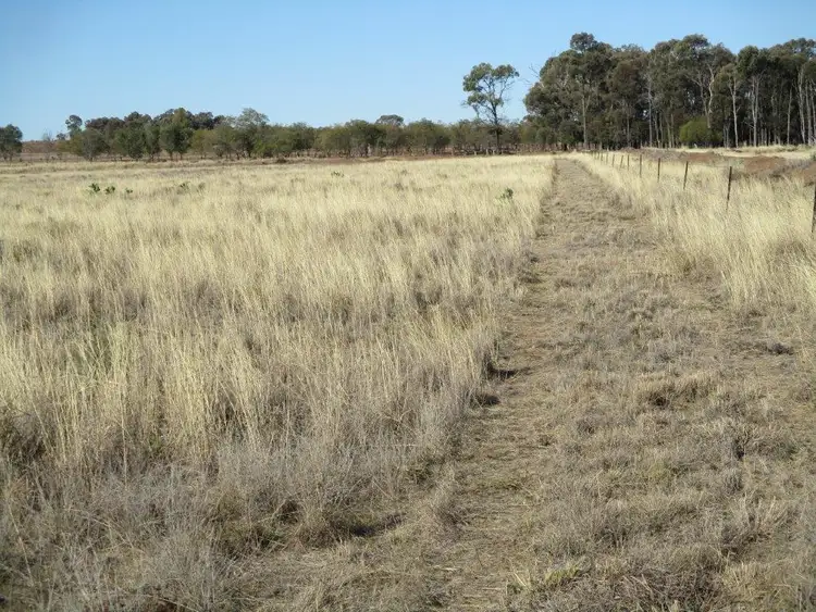 Second view of Homely rural property listing, SOLD SOLD SOLD "WINDVALE", Jandowae QLD 4410