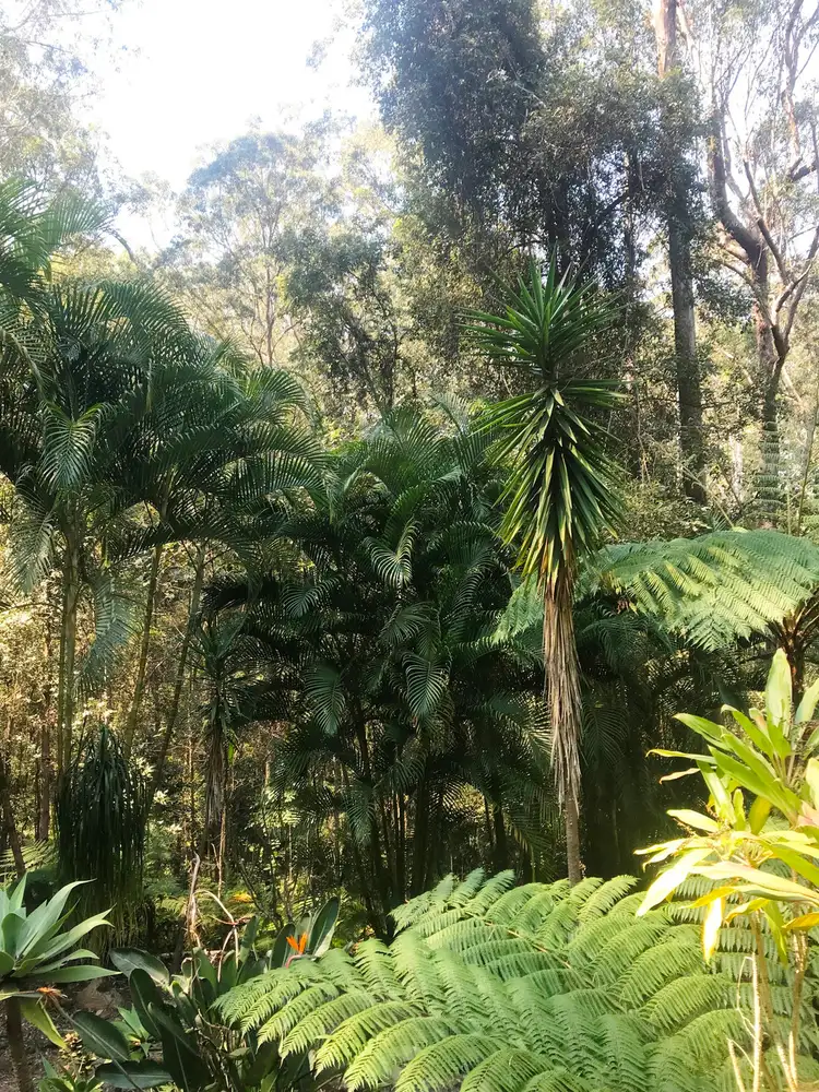 Third view of Homely house listing, 286 Ilkley Road, Ilkley QLD 4554