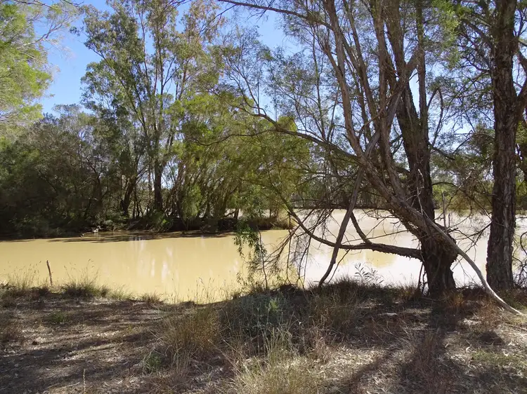 12667 PALTRIDGE ROAD, St George QLD 4487