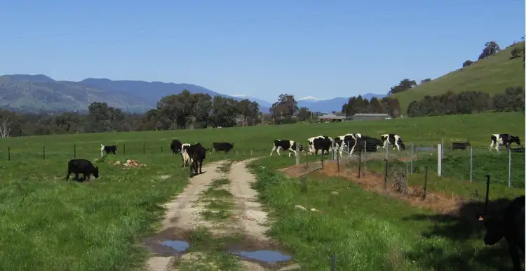Third view of Homely rural property listing, 00 Kiewa Valley Highway, Kergunyah VIC 3691