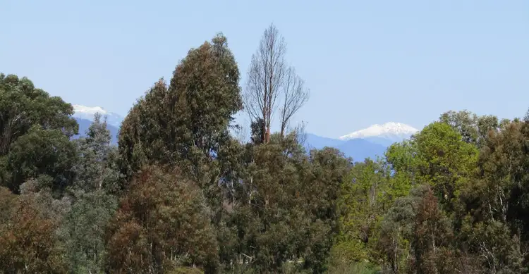 Fourth view of Homely rural property listing, 00 Kiewa Valley Highway, Kergunyah VIC 3691